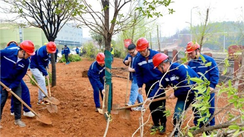 這個(gè)植樹節(jié)，共植一抹青綠，向著綠色未來(lái)出發(fā)！